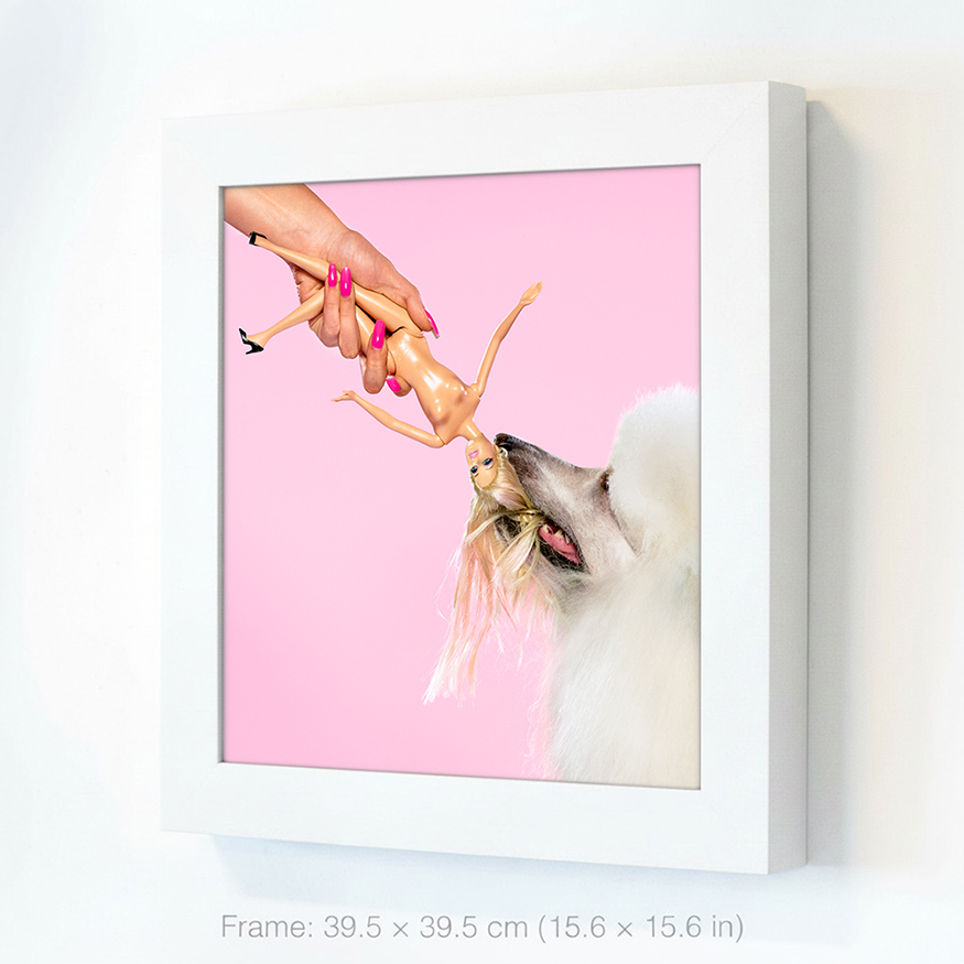 Poodle and owner pulling a Barbie doll in a playful, humorous power struggle with a whimsical touch, capturing fun of ownership.